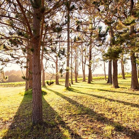 Ruse Estate Retreat Margaret River Rosa Glen Exterior photo